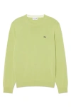 Lacoste Solid Cotton Jersey Crewneck Sweater In Green