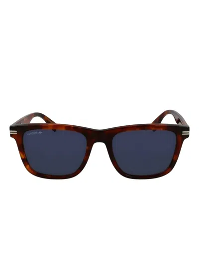 Lacoste Square-frame Sunglasses In Brown