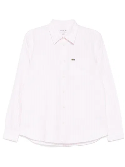 Lacoste Striped Oxford Shirt In Pink