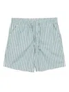 Lacoste Striped Shorts