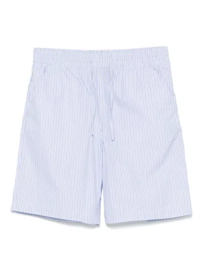 Lacoste Striped Shorts In Blue