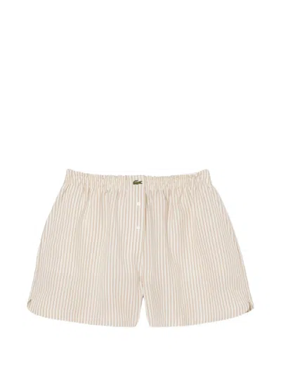 Lacoste Striped Shorts In Brown