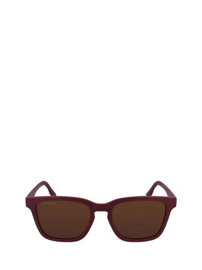 Lacoste Sunglasses In Burgundy