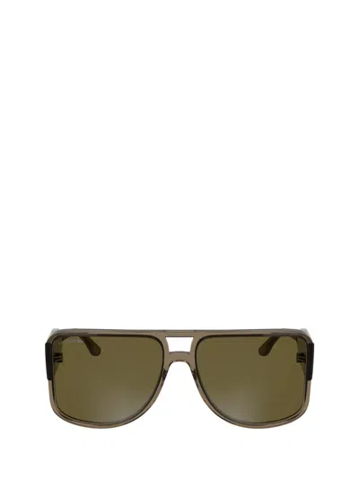 Lacoste Sunglasses In Brown