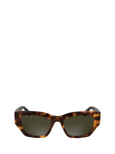 Lacoste Sunglasses In Brown