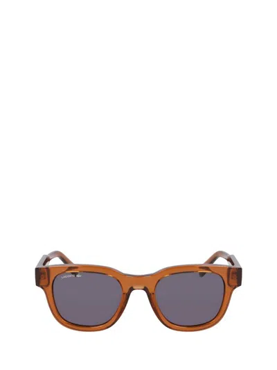 Lacoste Sunglasses In Orange