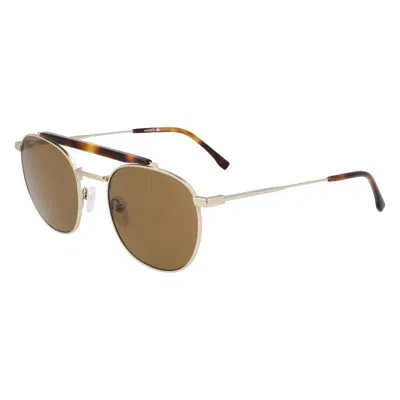 Lacoste Sunglasses In Brown
