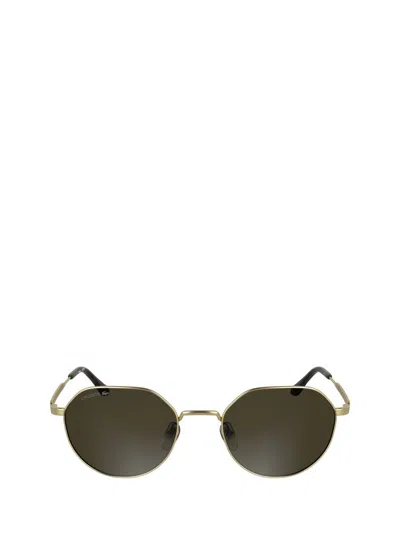 Lacoste Sunglasses In Brown