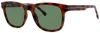 Lacoste Sunglasses Havana In Brown