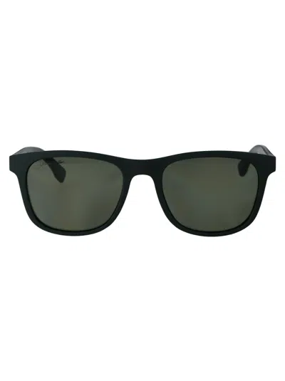 Lacoste Sunglasses In 315 Matte Green