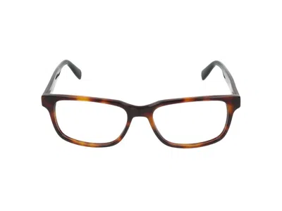 Lacoste Sunglasses  L2910 240 Tortoise /17/145 In Brown