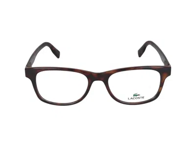 Lacoste Sunglasses  L2913 230 Havana /18/145 In Brown