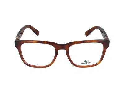 Lacoste Sunglasses  L2932 218 Blonde Havana /19/145