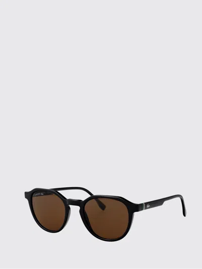 Lacoste Sunglasses Men  In Brown