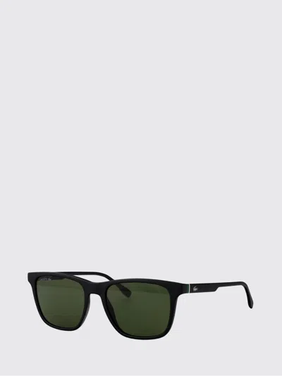 Lacoste Sunglasses Men  In Brown