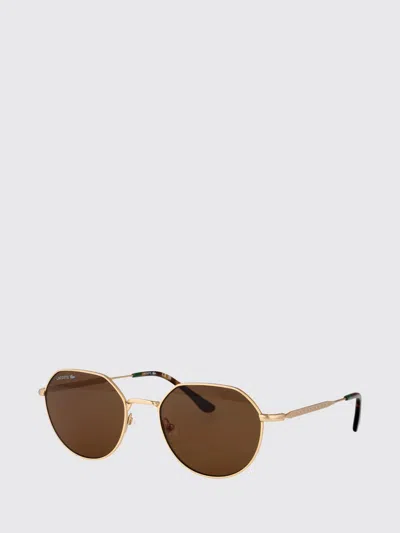 Lacoste Sunglasses Men  In Brown