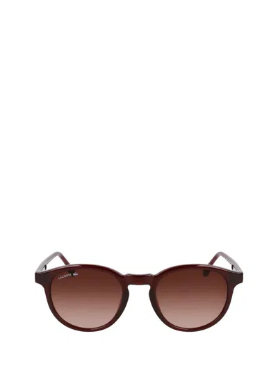 Lacoste Sunglasses In Transparent Burgundy