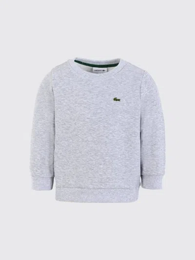 Lacoste Sweater Kids Color Grey In Gray