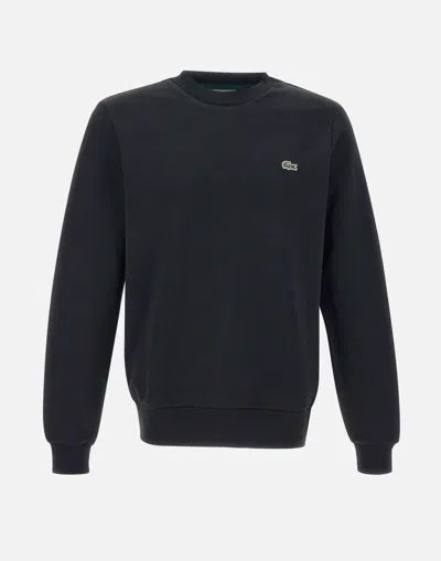 Lacoste Sweaters