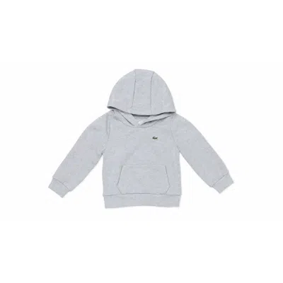 Lacoste Sweaters In Gray