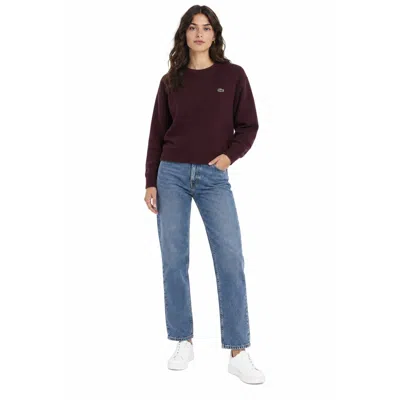 Lacoste Sweaters In Brown