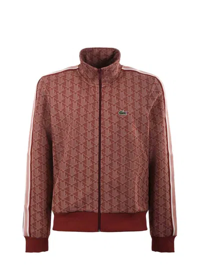 Lacoste Sweatshirt In Brown