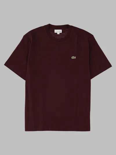 Lacoste T Shirt In Cotone In Brown