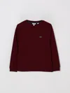 Lacoste T-shirt  Kids Color Burgundy In Blue