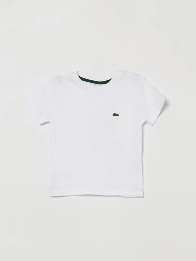 Lacoste T-shirt Kids  In White