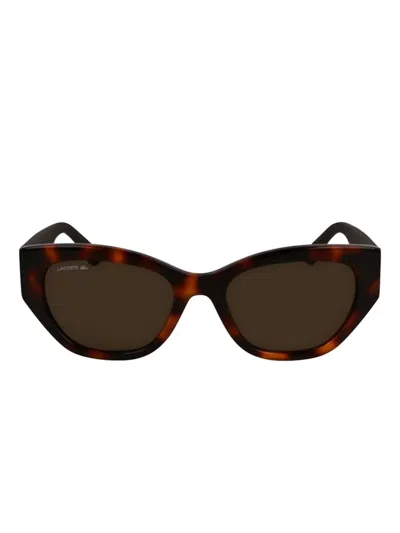 Lacoste Tortoiseshell Sunglasses