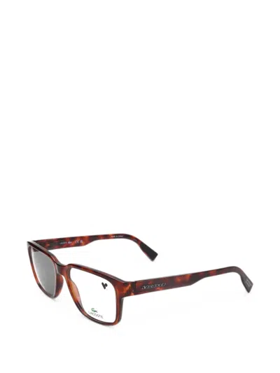 Lacoste Tortoiseshell-effect Rectangle-frame Glasses In Brown