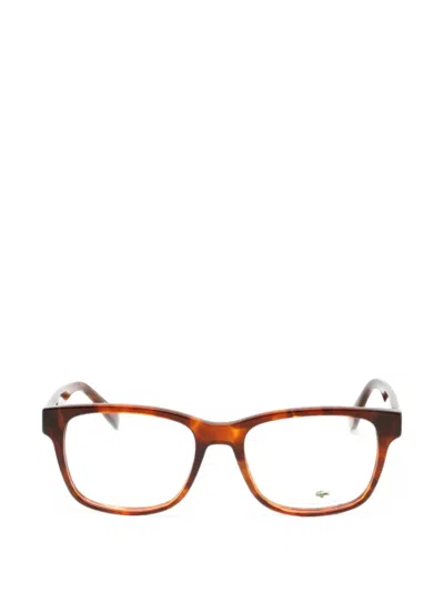Lacoste Tortoiseshell-effect Rectangle-frame Glasses In Brown