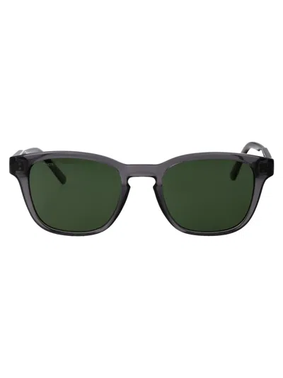 Lacoste Transparent Grey Acetate Sunglasses