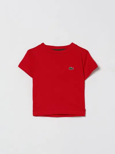 Lacoste Kids'  Tシャツ ボーイ カラー レッド In Red