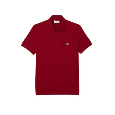 Lacoste T-shirts And Polos Bordeaux In Burgundy