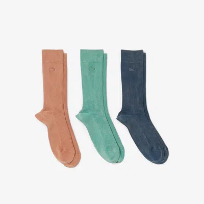 Lacoste 3 Pack Socks In Brown
