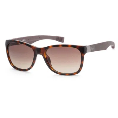 Lacoste Unisex L662s Sunglasses In Havana / Brown Gradient