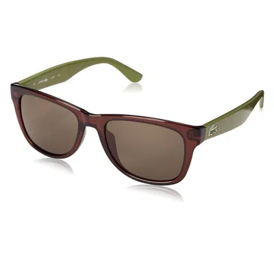 Lacoste Unisex L734s Sunglasses In Brown / Green