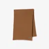 Lacoste Unisex Ribbed Wool Scarf - One Size In Brown