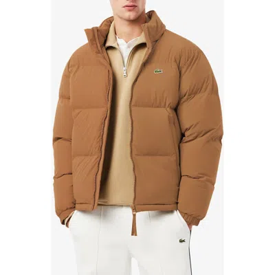 Lacoste Water Repellent Down Puffer Jacket In Brown