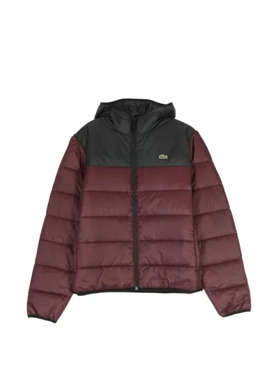 Lacoste Water-repellent Quilted Puffer Jacket In Red