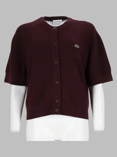 Lacoste Women's Brown Logo Sweater In Burgundy