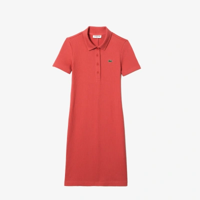 Lacoste Women's Short Sleeved Slim Fit Ribbed Cotton Dress - 32 In Pink