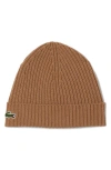 Lacoste Wool Cuff Beanie In Brown