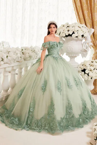 Ladivine 15701 Long Ball Gown Quinceanera Dresses In Green