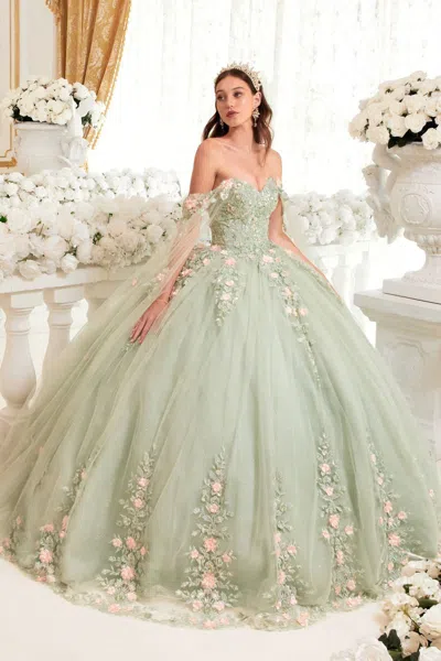 Ladivine 15716 Long Floral Applique Cape Quinceanera Dress In Green