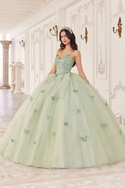 Ladivine 15718 Long Ball Gown 3d Applique Sweet 16 Quinceanera Dress In Green