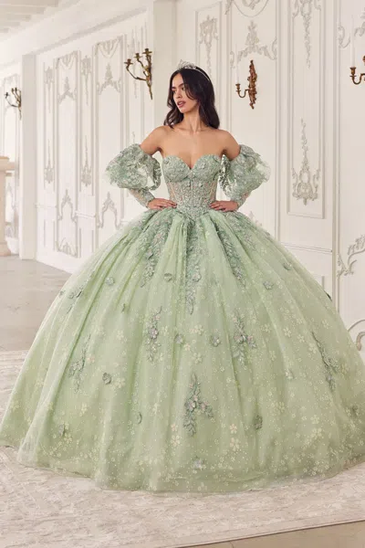 Ladivine 15722 Lace Applique Quinceanera Long Ball Gown In Green