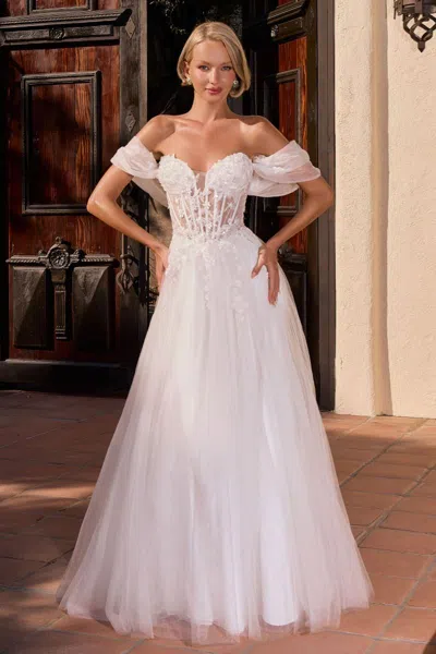 Ladivine 2426w In White