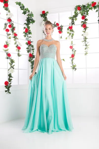 Ladivine 8107 Long Beaded A Line Formal Evening Dress In Green